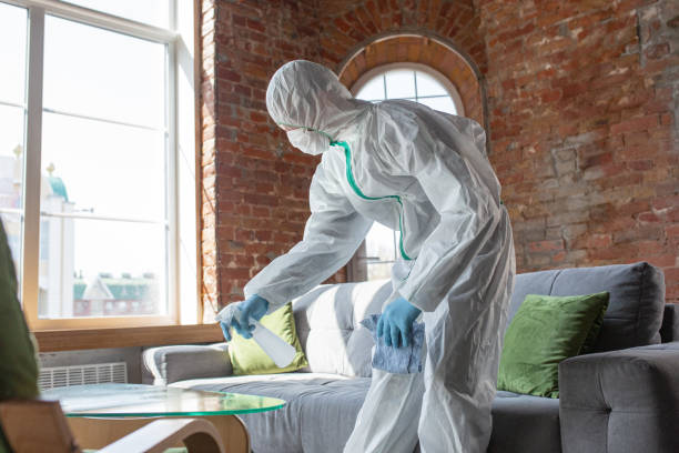 Best Emergency Mold Remediation in Wmington, IL